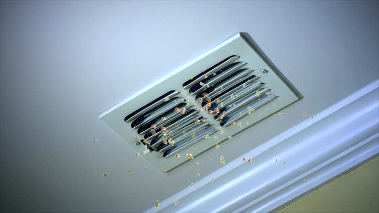 Best HVAC Duct Inspection Services  in Sonoma, CA